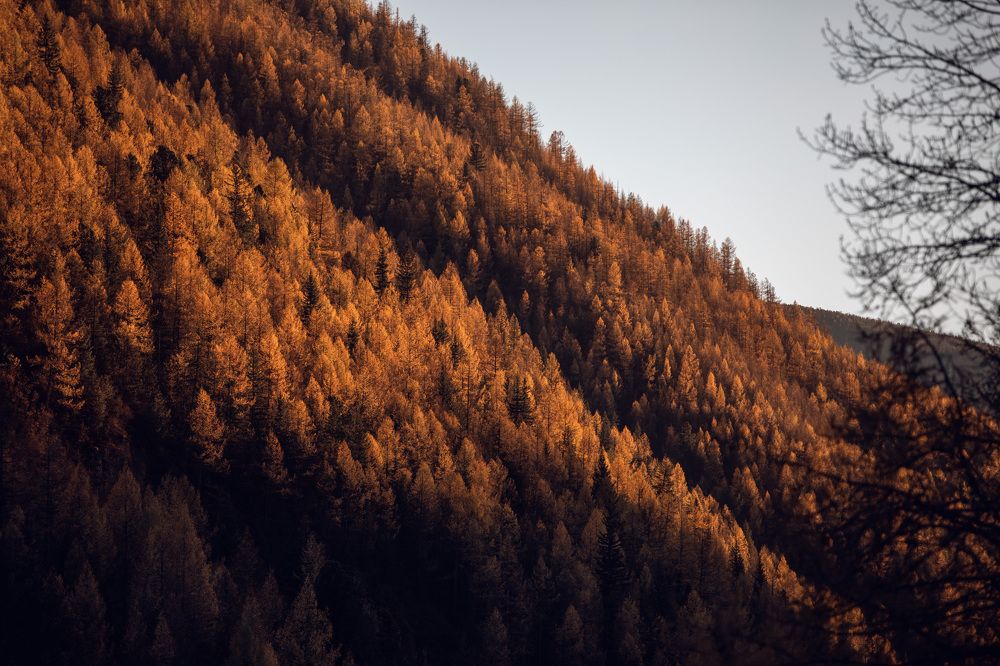 Осень в разгаре