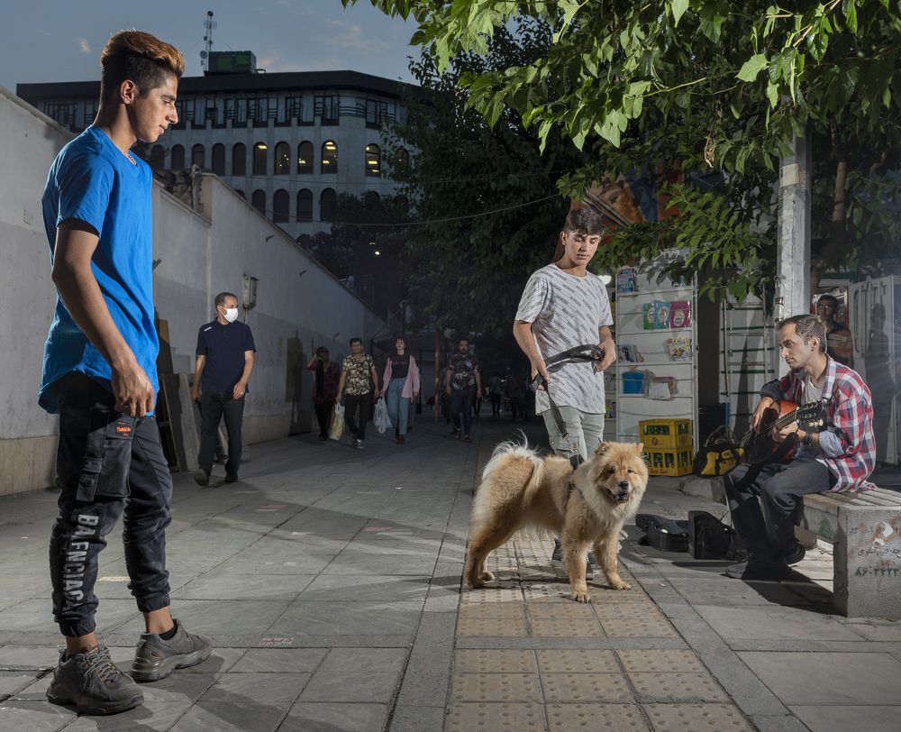 Photograph by sara shafigh