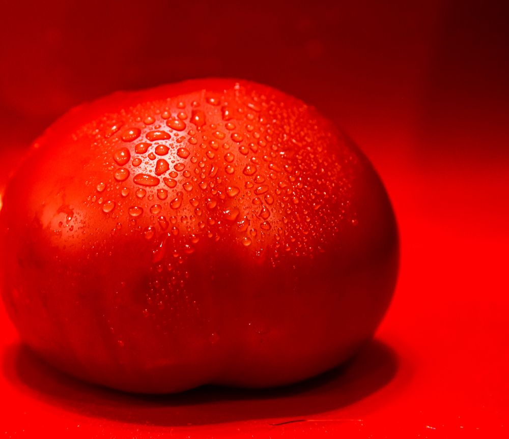 Photograph by Оксана Сафина