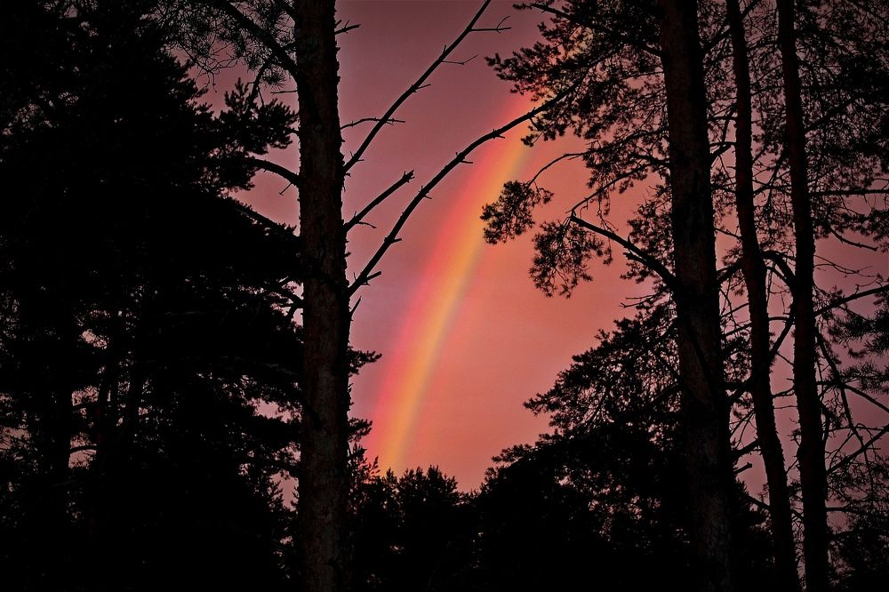 Явление, которое завораживает