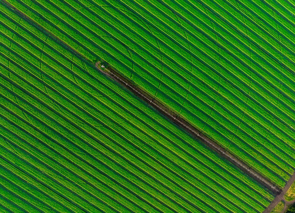 Photograph by Nikolay Brytkov