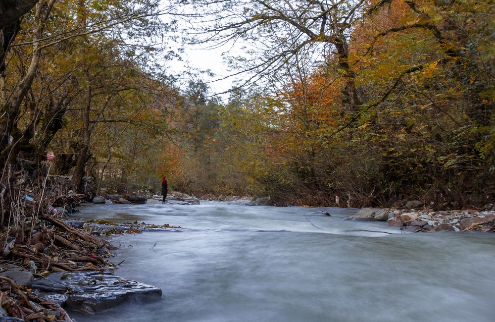 Photograph by sara shafigh