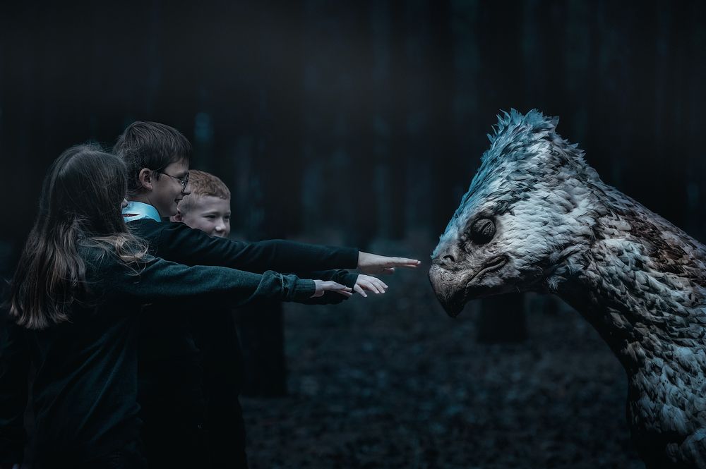 Photograph by Виталий Черняховский