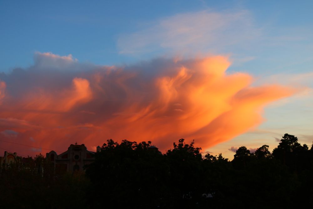 Photograph by Светлана Шуткова