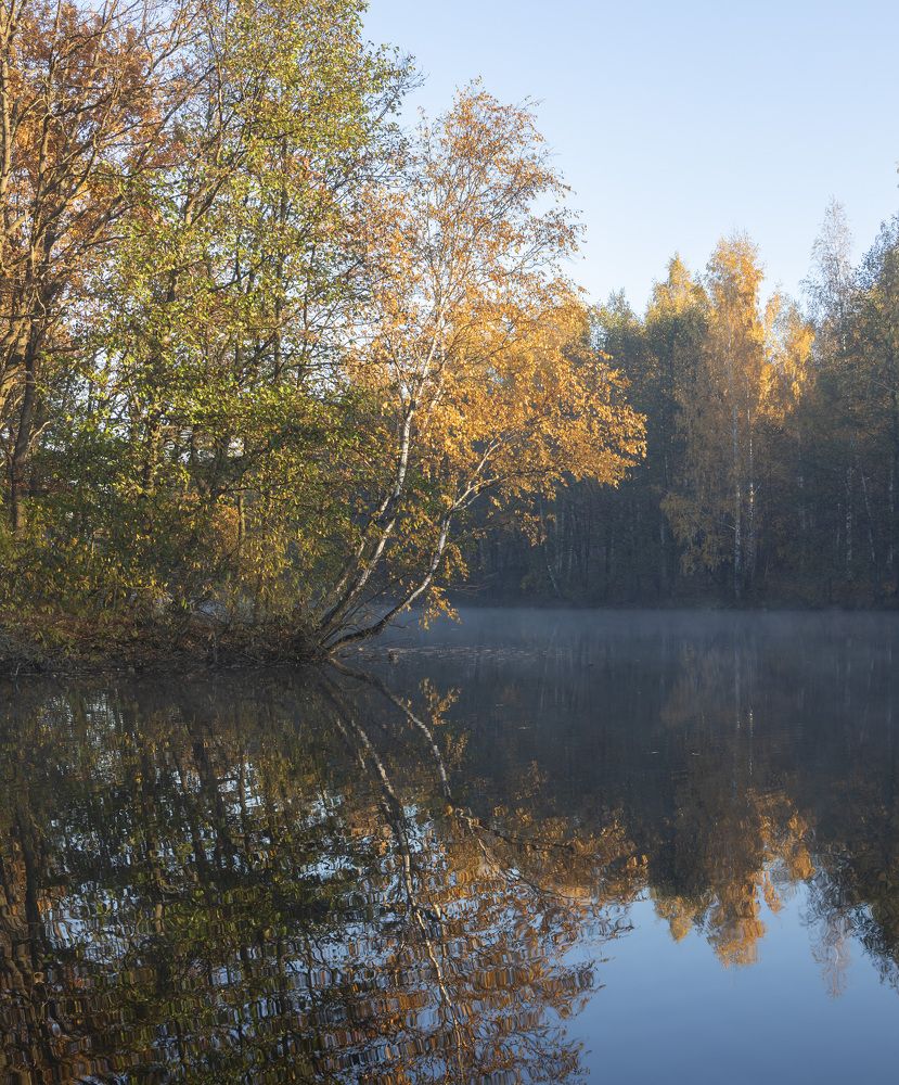 Фотография автора Ольга Бонина