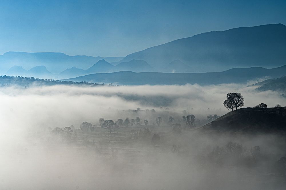 Photograph by Barzo Ibrahim