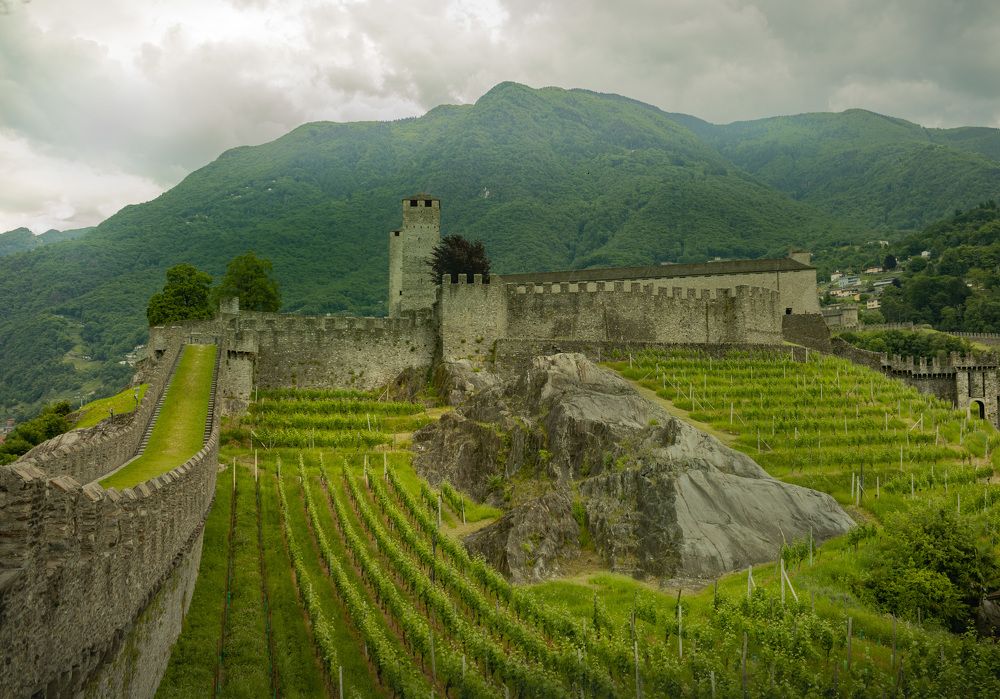 Photograph by Mariia Muratova