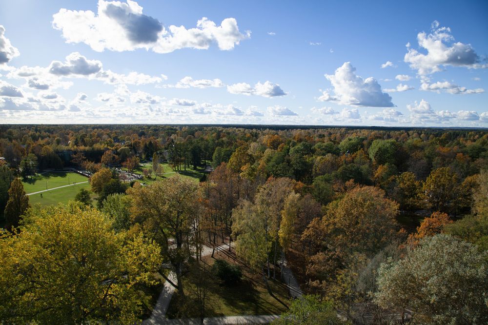 Photograph by Кристина Вингре