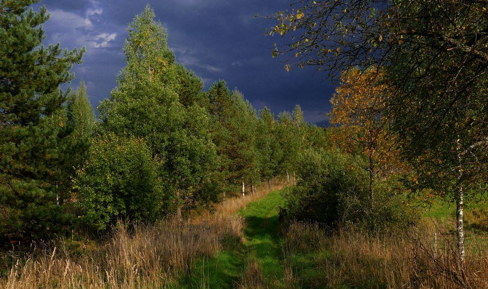 Photograph by Александр Пинаев