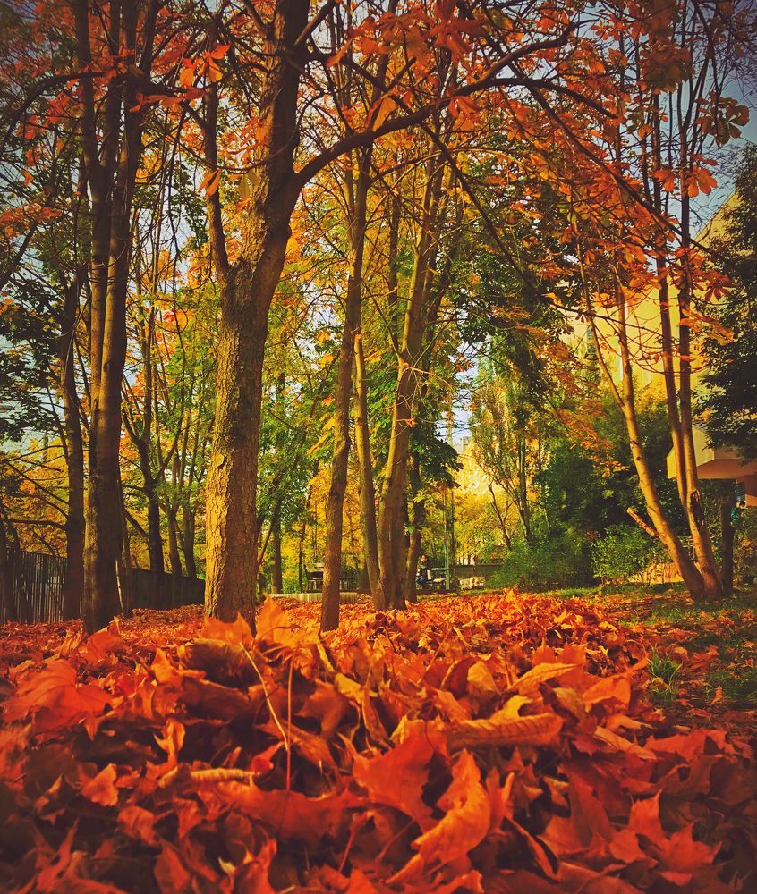 Photograph by Мьюз Ксения