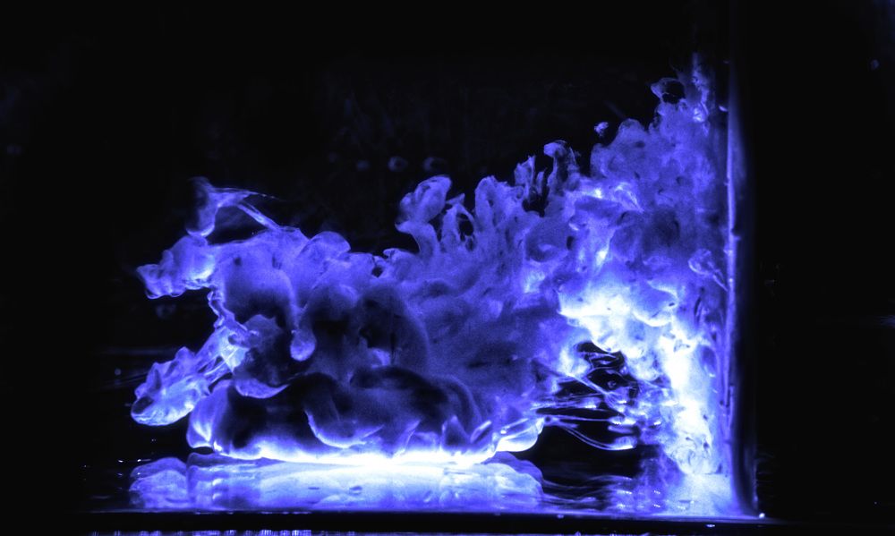 Photograph by Brightman Mitra