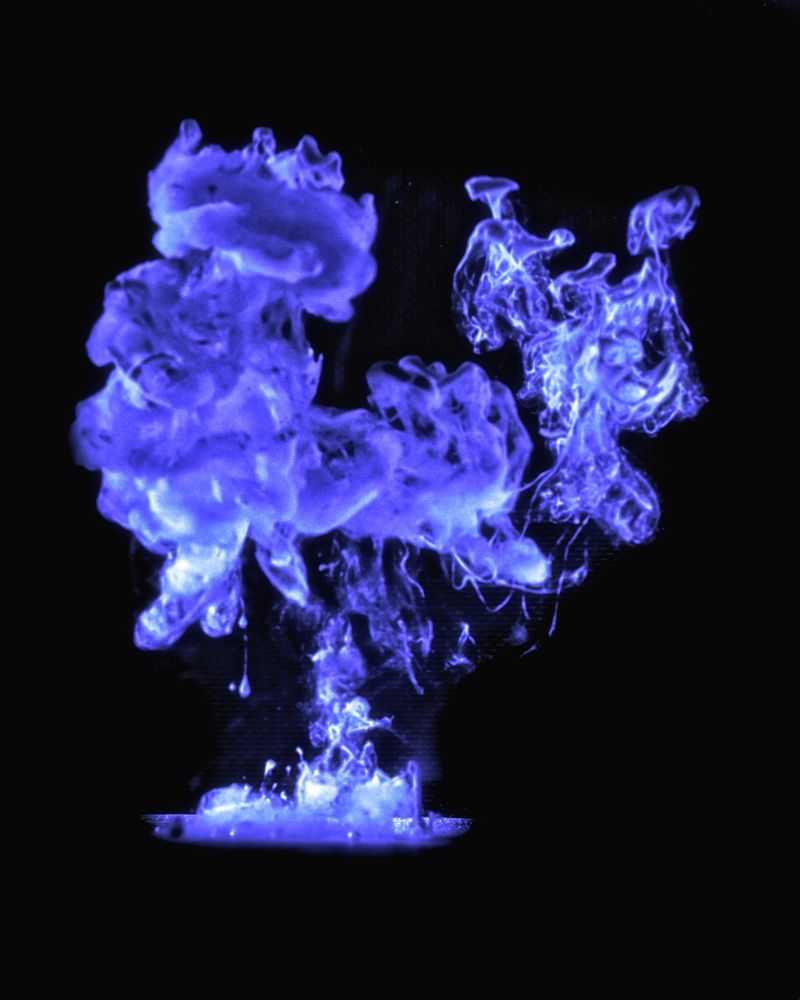 Photograph by Brightman Mitra