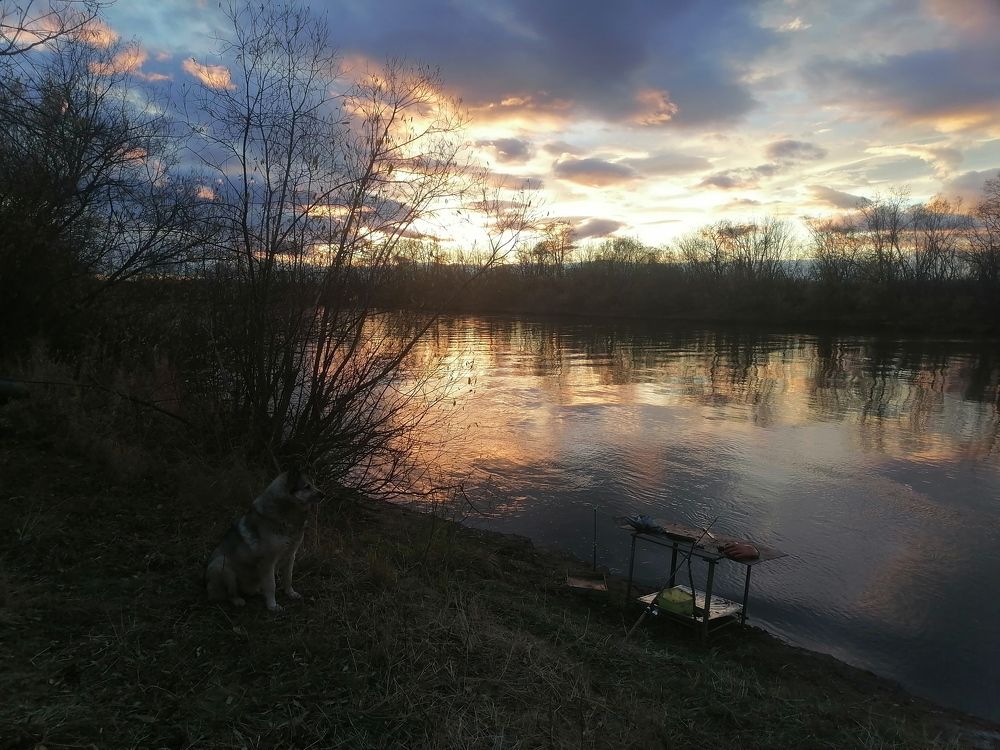 Photograph by Ульяна