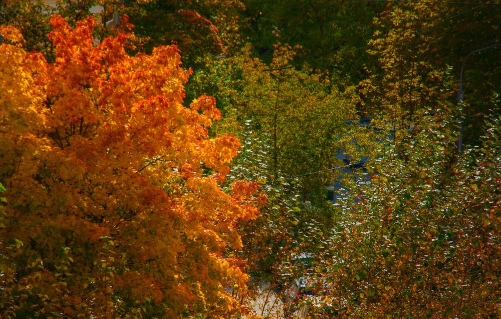 Photograph by Мьюз Ксения