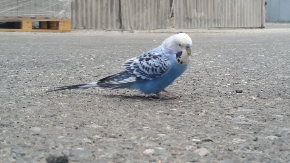 Photograph by Tigran