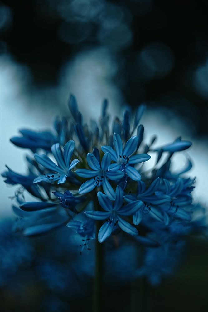 Photograph by Andrew Becker