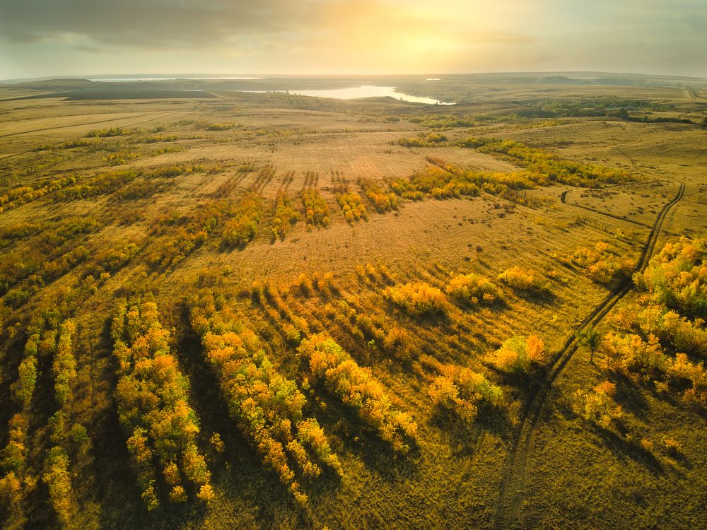 Золотая осень