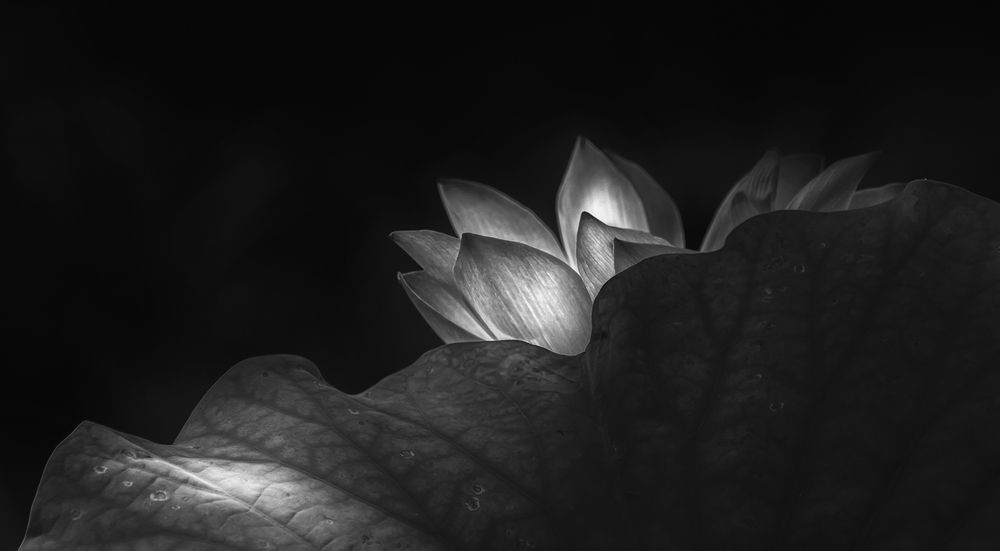 Photograph by Boon Leng Chin
