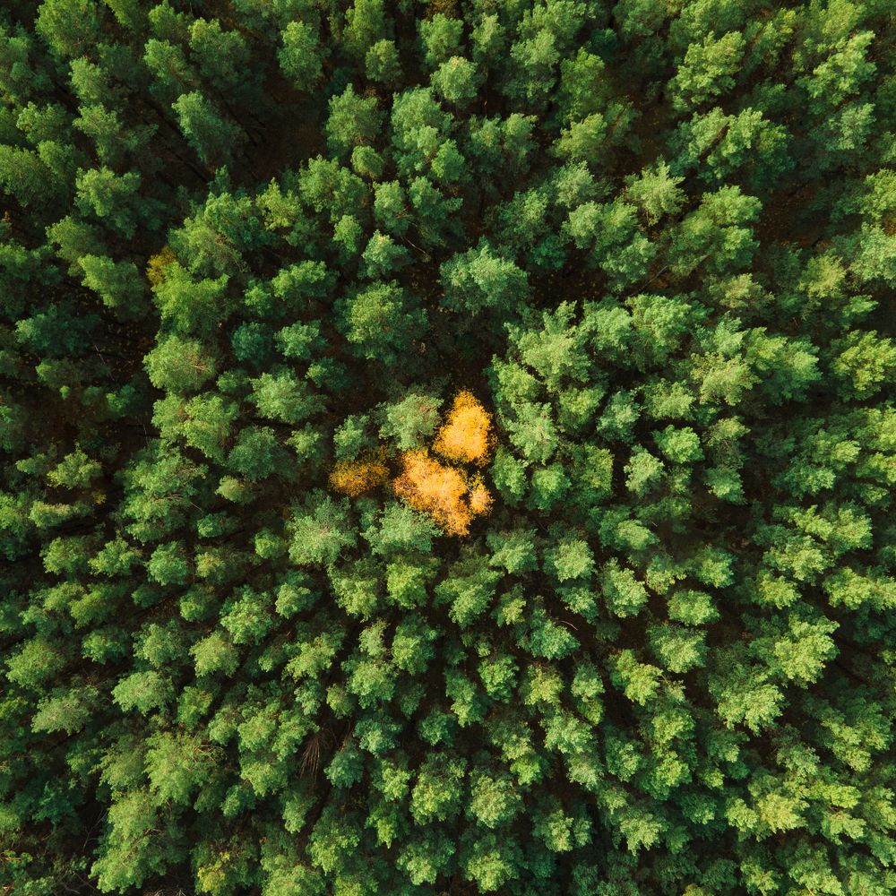 Photograph by Алексей Курочкин