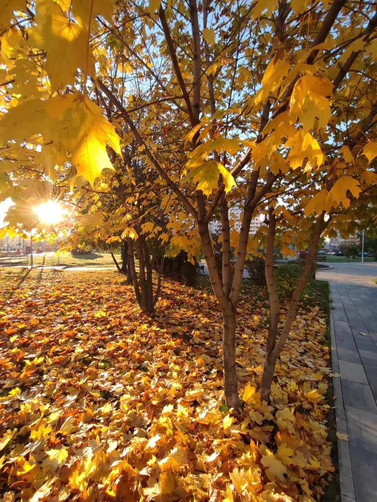 Photograph by DARIA DEMINA