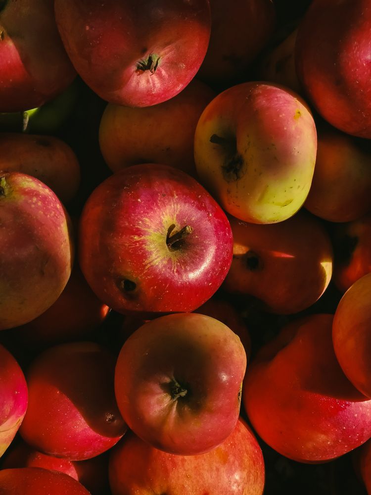 Photograph by Александра Якуцевич