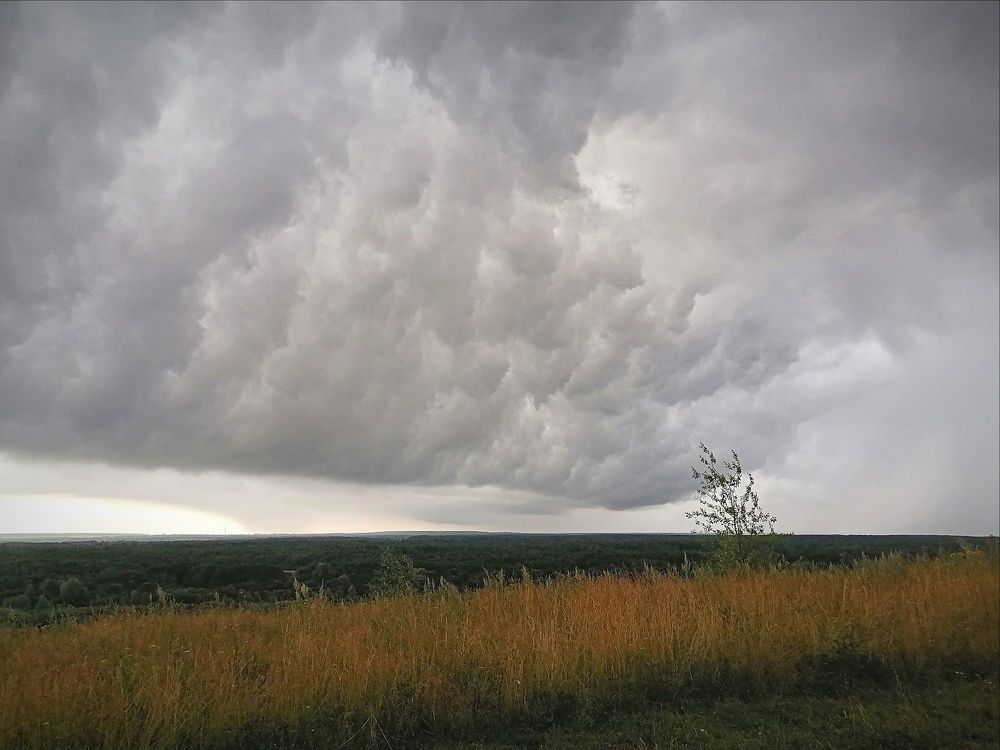 Photograph by Ольга