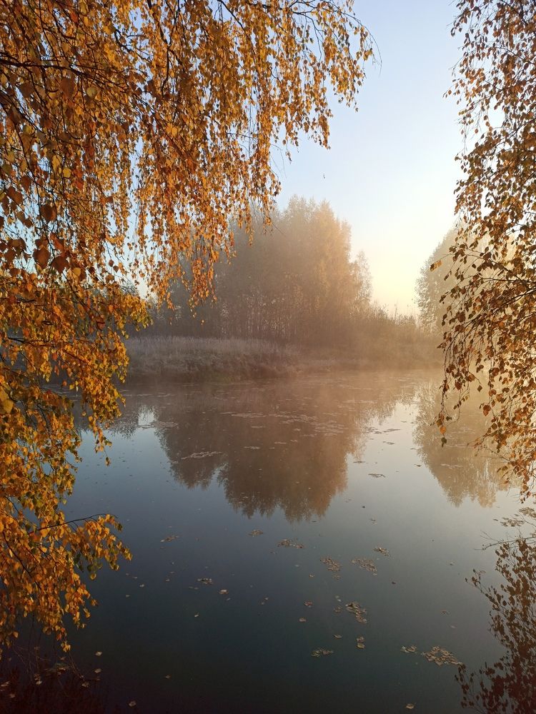 Photograph by Eлена Смирнова