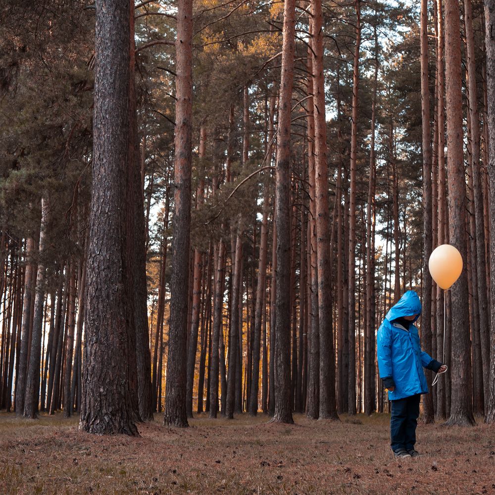 Photograph by Семен Сизов