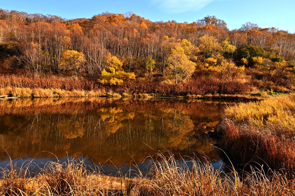 Photograph by Александр Мухин