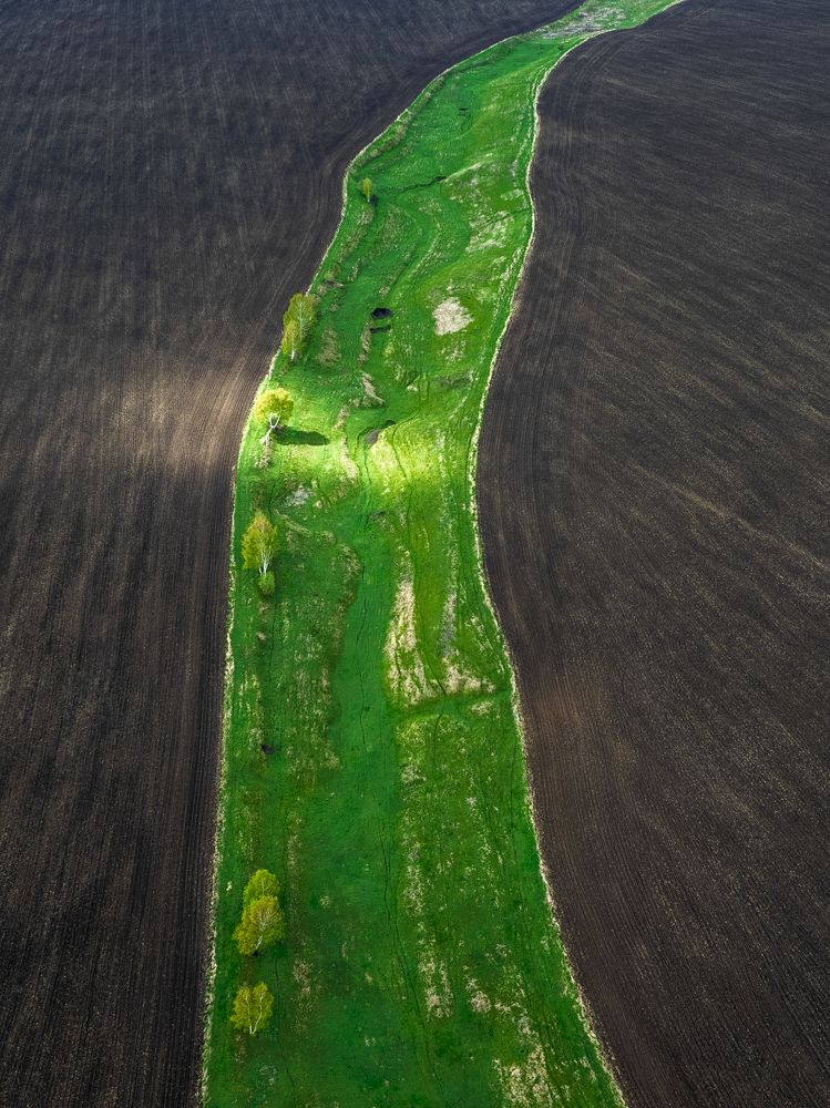 Photograph by Nikolay Brytkov