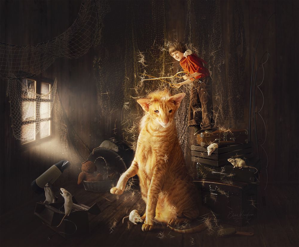 Photograph by Елена Круглова