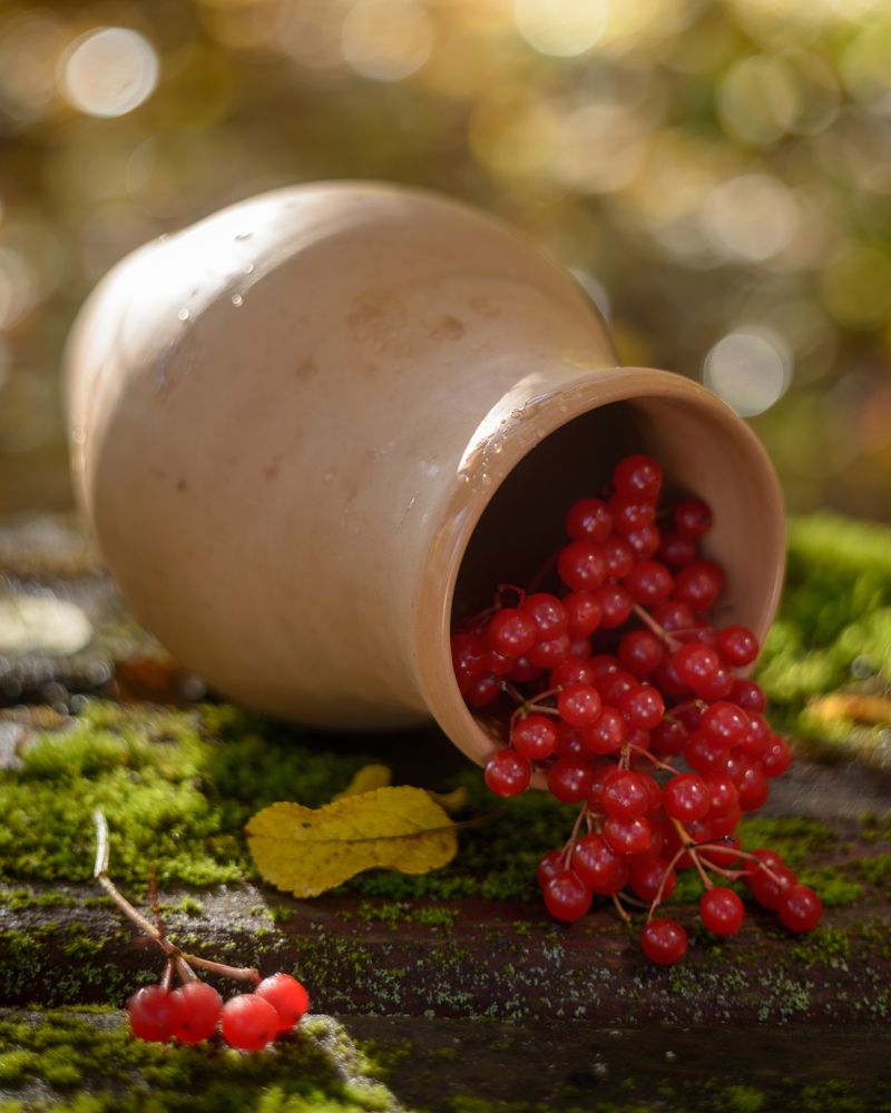 Фотография автора Кирилл Сизов