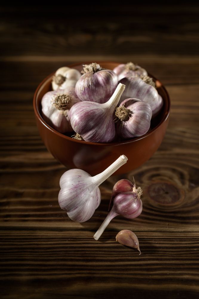 Фотография автора Кирилл Сизов