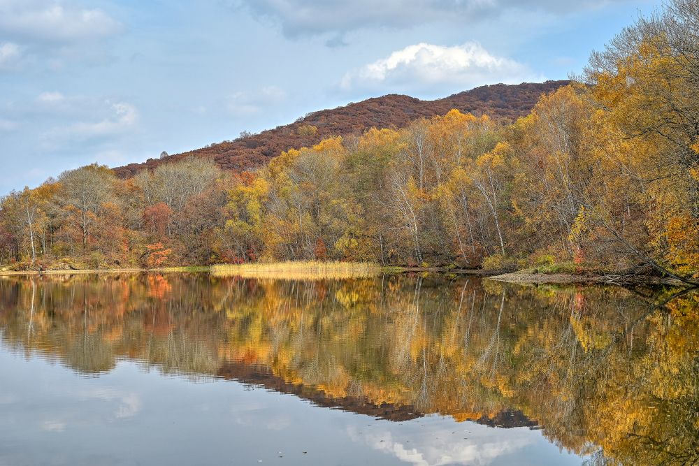 Photograph by Ковалёв Игорь