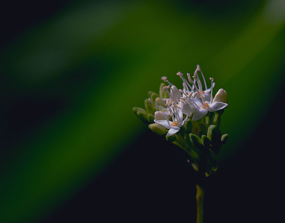 Photograph by Сергей Балашов