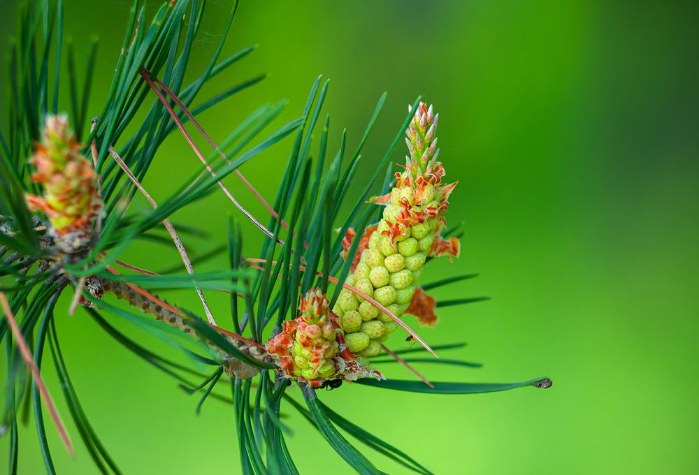 Photograph by Елена Потемина