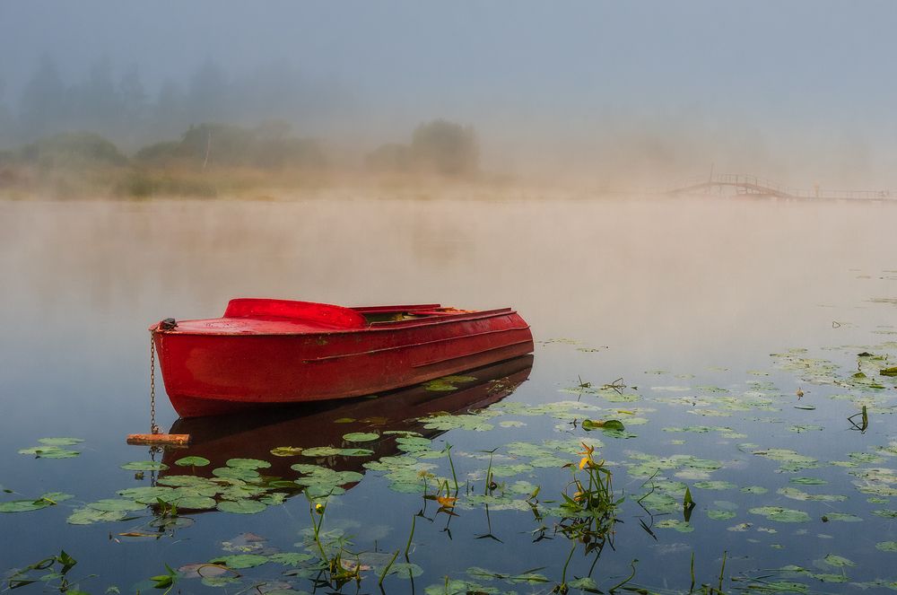 Photograph by Елена Потемина