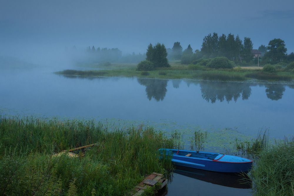 Photograph by Елена Потемина