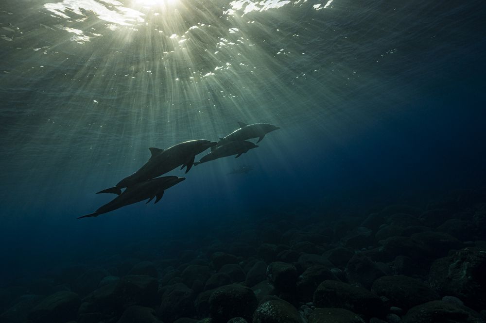 Bathed in the morning sun