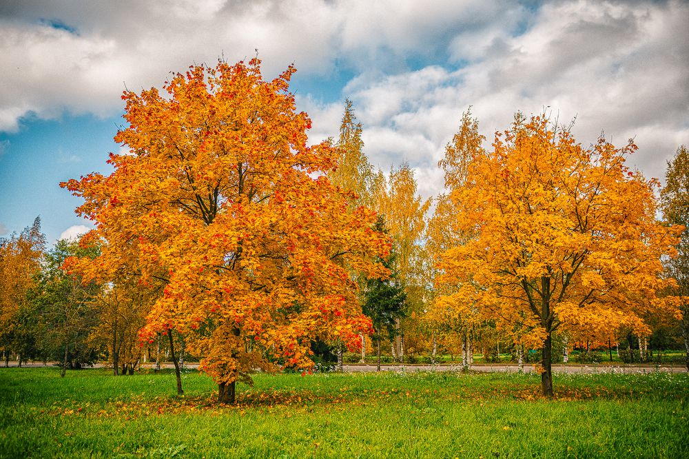 Осенняя безмятежность...