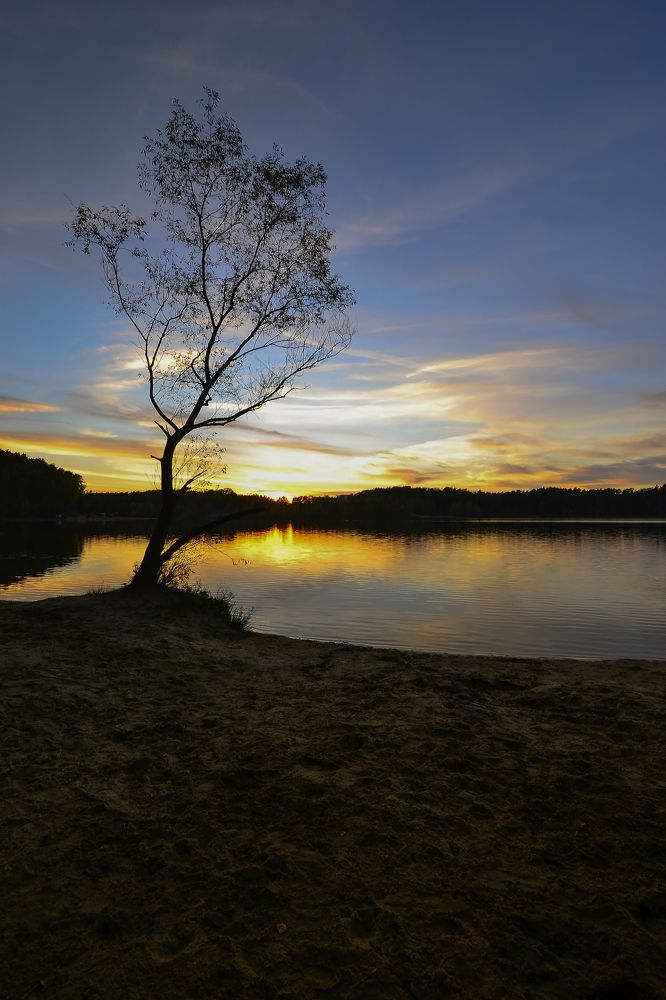 Photograph by Елена