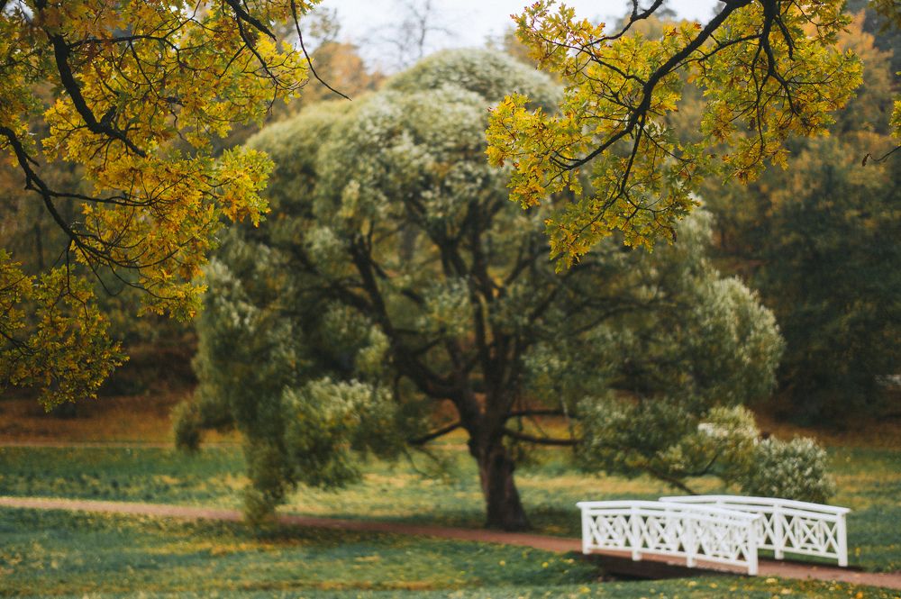 Photograph by Роук Антон