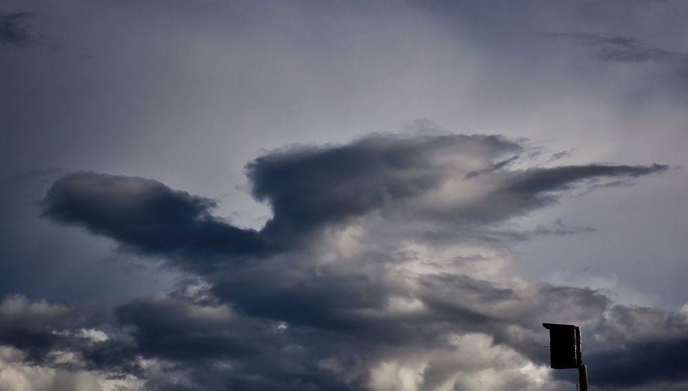 Photograph by Дымова Вера