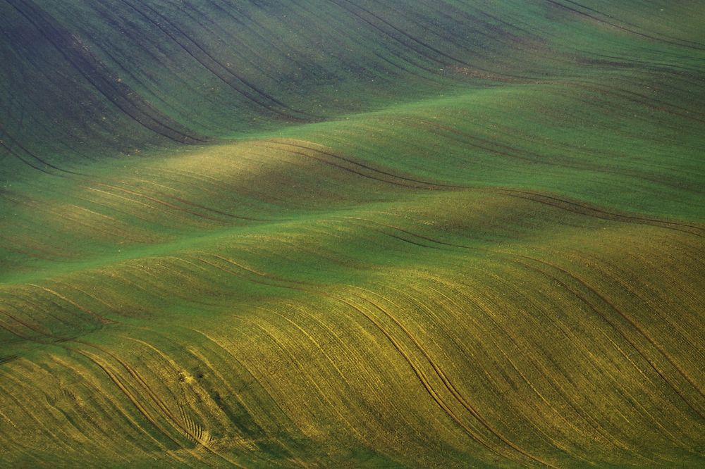 Photograph by Ivars Salmanis