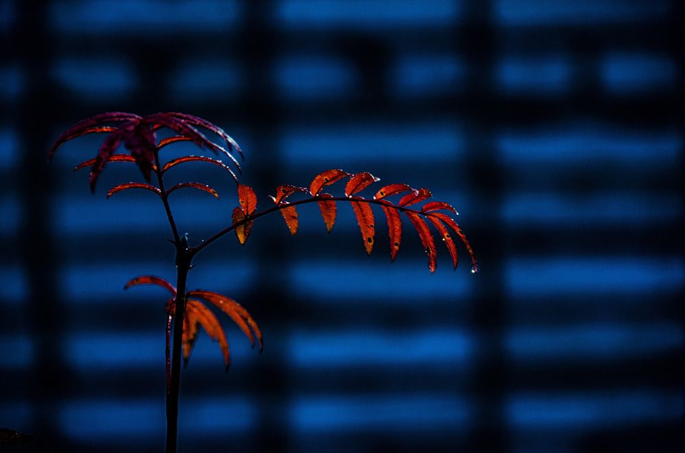 Photograph by Даниил Марков