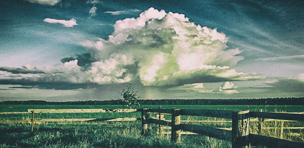 Photograph by Дымова Вера