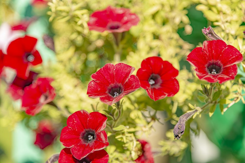 Photograph by Sysoev Konstantin