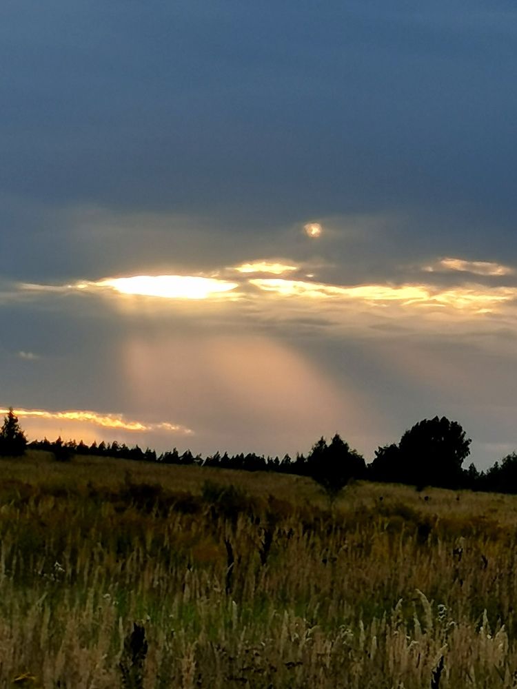 Photograph by людмила