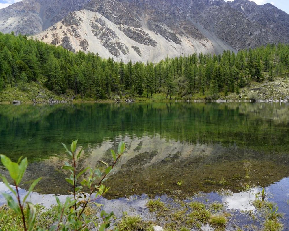 Фотография автора Татьяна Добровольская