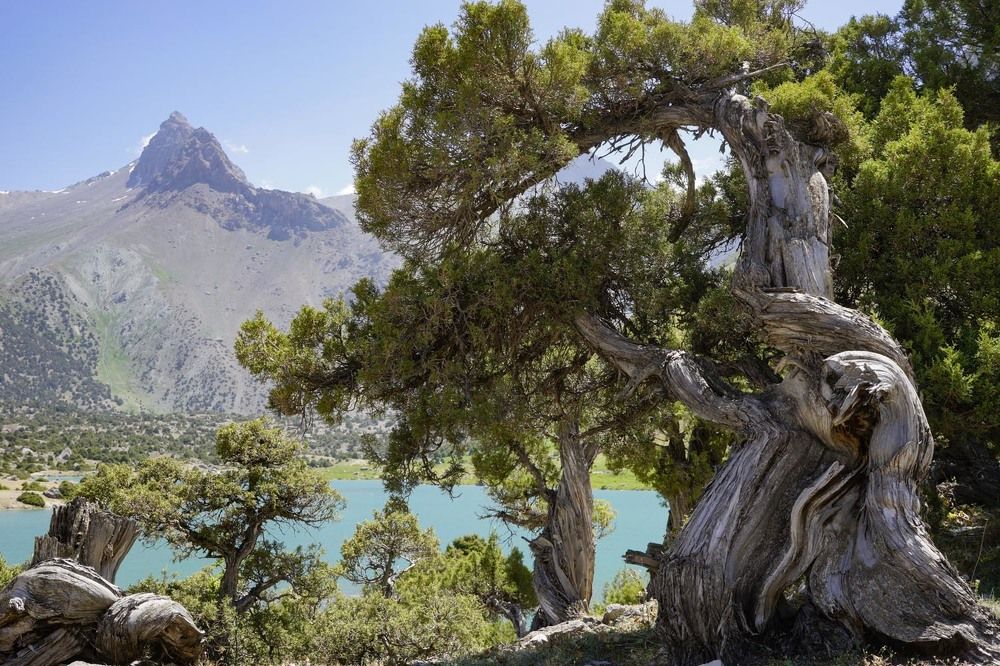 Фотография автора Татьяна Добровольская